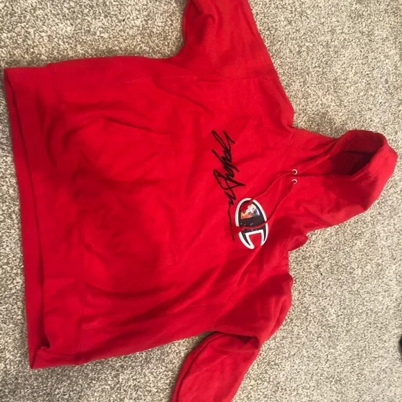 Saladeen Hoodie Champion X King Saladeen Champion Shirts Ajh King